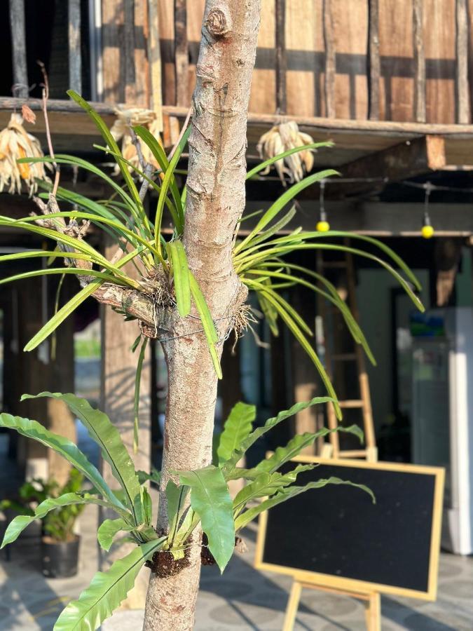 Du Gia Thu'S Homestay Làng Cac Eksteriør bilde