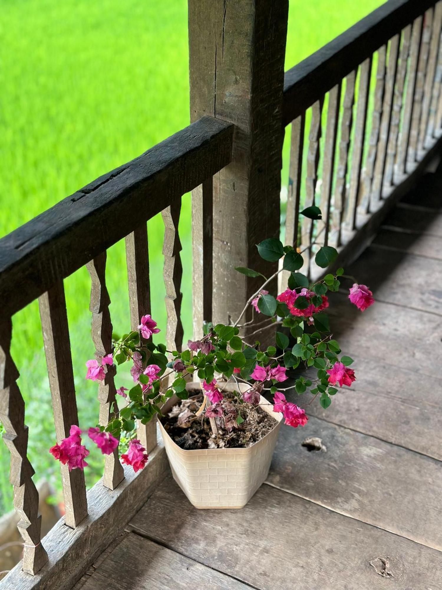 Du Gia Thu'S Homestay Làng Cac Eksteriør bilde